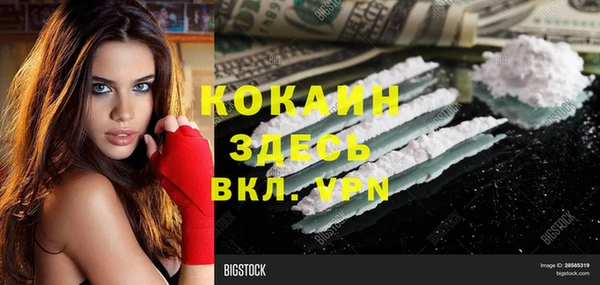 сатива Лагань
