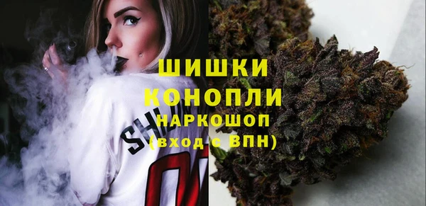 сатива Лагань