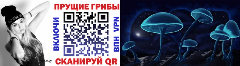 Псилоцибиновые грибы Psilocybine cubensis  наркотики  Артём 